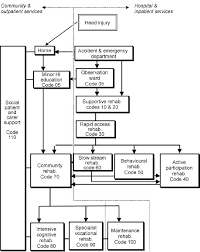 Flowchart Of Potential Head Injury Rehabilitation Services