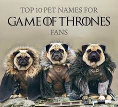 Top 80 Pet Names For Game Of Thrones Fans Cuteness