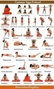 Yoga Protocol Hatha Yoga Poses Patanjali Yoga Advanced Yoga
