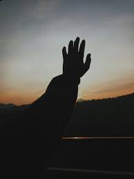 Hand Praise Hand Photography Shadow Light Shadow Photography Nature Aesthetic Hand Photography