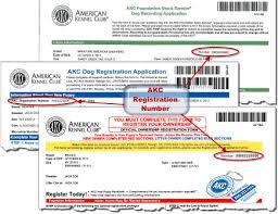 The application requires basic information such as the date of birth, number of males and females born, and the registered names and numbers of the sire and dam. Akc Registered Breeders Near Me Online Shopping