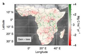 Adobe illustrator.ai eps vector files from our our series of africa vegetation maps is created as a map collection that meets the highest quality. Africa S Vegetation Has Lost 2 6bn Tonnes Of Co2 In Just Seven Years Carbon Brief