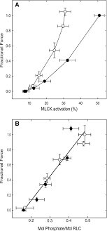 Evangelia karadimos, 78evangelina karadimos, ~39. Myosin Light Chain Kinase Activation And Calcium Sensitization In Smooth Muscle In Vivo Abstract Europe Pmc