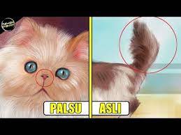 Selain itu juga sangat bagus untuk kesehatan sampai nafsu makan si kucing. 8 Tips Mengenali Ciri Ciri Kucing Persia Yang Asli Youtube