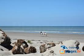 Save superbe longere proche du marquenterre, les mil roses en baie vous accueillent to your lists. Plage De Marquenterre Saint Quentin En Tourmont 80 Somme Picardie Plages Tv