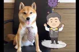 Q版蔡英文.陳時中 創意馬卡龍掀話題 羅立芸 黃昭盛 報導 / 台北市 這是總統府副祕書長李俊俋在臉書貼出的「口罩馬卡龍」，上面有q版的總統蔡. æŽƒæqr Codeå¬å–š é˜¿ä¸­éƒ¨é•· åˆ°ä½ å®¶ 4æ­¥é©Ÿå®Œæˆåˆç…§ éŒ„å½±éƒ½ok é¢¨å‚³åª'