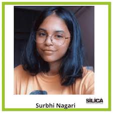 SILICA Institute Reviews