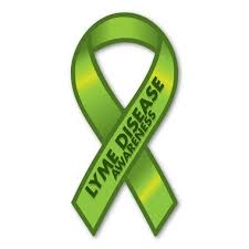 Lyme Disease Awareness Ribbon Magnet Walmart Com Walmart Com
