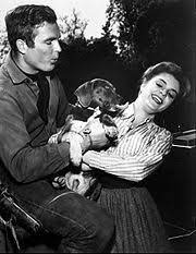 Susan was born on july 11, 1943 in oakland, california, u.s. Susan Seaforth Hayes Wikipedia