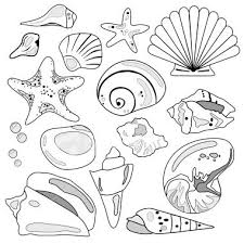 Some detail promoted from the comments: Sea Shell Collection Drawings Sea Shells Coloring Pages