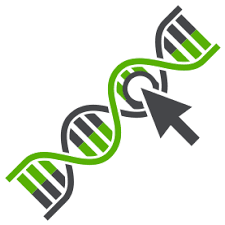The dna is the genetic material of most of the organisms. Dna Cdna Labeling Jena Bioscience