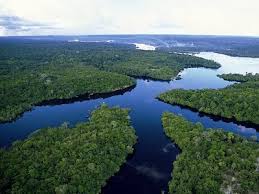 Direktimporteur und großhändler für fruchtpulver warum amazonas. Kreuzfahrten Auf Dem Amazonas Ab Manaus Flusskreuzfahrt Tourismus Schiegg
