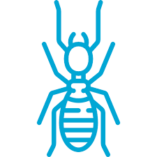 Learn about bed bugs and bed bug pest control methods. W G C Pest Control Worcester Dudley Oxford Ma Pest Rodent Termite Control Services