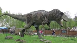 Fossilised bones of a dinosaur believed to be the largest creature ever to walk the earth have been unearthed in argentina, palaeontologists say. Researchers Uncover Super Massive Dinosaur In Patagonia Argentina Youtube