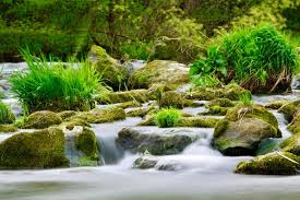 Profile for Michael Lautenbach Photographie