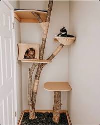 This would be a spot for the cats to climb, sleep and let the cats show each other who's boss (answer always: 10 Diy Cat Trees And Cat Furniture Apartment Therapy