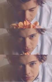 Sara Steinman (sarasteinmann)