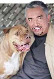 Biografía de César Millán (Su vida, historia, bio resumida)