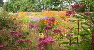 Piet Oudolf Dutch Wave Gardens Tour Carextours Garden Drawing Plants Beautiful Gardens