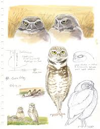 To Understand The Natural World First Pay Close Attention Sierra Club