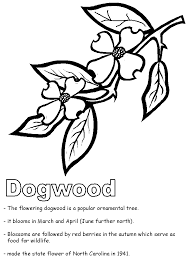 (answer) (coloring page) what do you call an overgrown vampire? Dltk Coloring Page Coloring Home