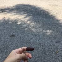 The fourth raja of perlis, syed alwi ibni syed safi jamalullail (born 1881; Sek Keb Jalan Raja Syed Alwi 1 Tip From 66 Visitors