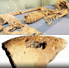 A skeleton recovered from a Roman-era cemetery in England may mark the  first physical evidence of combat between gladiators and animals, according  to new research.