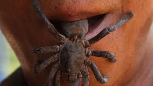 Water is the most essential element for survival, has its own vitality for all kinds of living beings. Bbc Earth Is It True That We Swallow Spiders When We Sleep