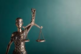 Image result for Justicia nuttii