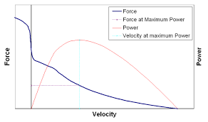 9 3b Velocity And Duration Of Muscle Contraction Medicine Libretexts