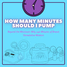 How Many Minutes Should I Pump to Maintain Milk Supply? The 240-Minute  Schedule Explained — The Natural Lioness