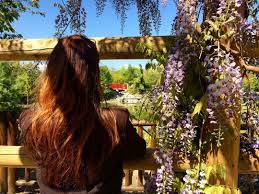 Watch The Best Youtube Videos Online Jardin Japonais Merci Lauranelaboz Flowerstagram Photo Picoftheday Jardinjaponai With Images Photo Beautiful Jardin