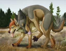 Rule34 - If it exists, there is porn of it  creeps  810268