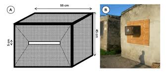 You can choose from sticky traps or fan traps to entice use foggers and aerosols to kill mosquitoes in the air, and use sprays to attack mosquitoes where to learn how to kill mosquito larvae in standing water, scroll down! Window Exit Trap Before Fixing To A House Window A And After Download Scientific Diagram