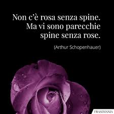 Tutt'ora in cina la peonia è il fiore nazionale: Frasi Sulle Rose Le 25 Piu Belle In Inglese E Italiano