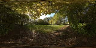 Our nature spherical photos can be used for reproduce the environment 360, panoramas, nature, skies and much more in 3d product. Hdri 360 Forrest In Autumn Ii Openfootage