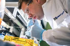 About UMass Dartmouth