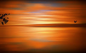 Sunset lodging specializes in sunriver vacation homes for all occasions, party sizes and locations throughout the area. Art Artistic Vector Abstract Animals Birds Flight Fly Nature Sunset Sunrise Color Lakes Sea Ocean Water Reflection Sky Clouds Wallpaper 1920x1200 26785 Wallpaperup