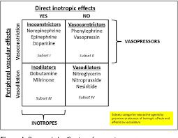 Pharmacotherapy Update On The Use Of Vasopressors And Inotropes In The Intensive Care Unit Semantic Scholar