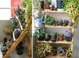 Dekoratif Ciceklik Modelleri Google Da Ara Garden Pots Plants Pot