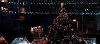 We are expert exterminators who offers the best pest treatment to residential, industrial, and commercial customers. Best Christmas Lights Houston 2018 Edition Abc Blog