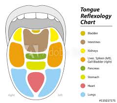 Tongue Diagnosis Chart With Reflexology Areas Of The