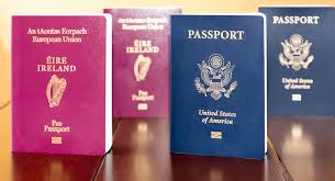 We will develop an individual solution, select the country and status, who will solve your. Second Passport How To Get Dual Citizenship Nomad Capitalist