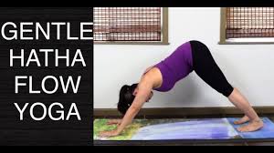 gentle hatha flow yoga for beginners