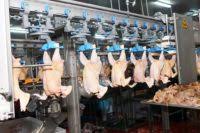 Locuri de munca persoane pentru franta. Munca Top Locuri De Munca In Europa Si Romania Locuri De Munca Oferte De Munca