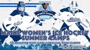 International ice hockey federation (iihf). Vwzfsqa7plumm