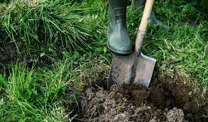 However, there are some hidden risks to this, and there are other options that will help other pets, and even the owners who love them. How To Bury A Dog Legally When Your Canine Companion Passes Away