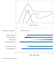 Understanding The Window Periods Of Hiv Tests Smartsexresource