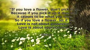 Because if you pick it up it dies and it ceases to be what you love. Motivational Inspirational Quotes If You Love A Flower Youtube