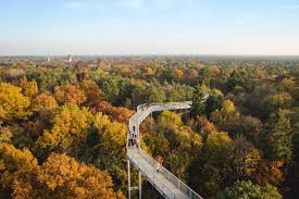 Fototouren zu historischen lungenheilstätten und sanatorien und baumkronenpfad. Baumkronenpfad Beelitz Heilstatten Und Lost Place Blickgewinkelt